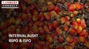 Audit Internal RSPO dan ISPO